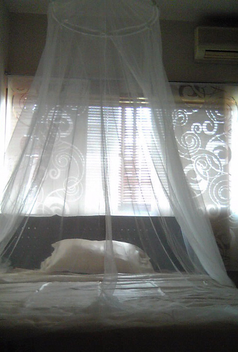Image144.jpg
