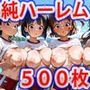 真巨乳ハーレム学園水辺の赤青ブルマ女子編