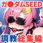 ガ●ダムSEED調教CG集総集編【全4キャラ 1000枚/ラ●ス/ルナマ●ア/ミ●ア/カ●リ】