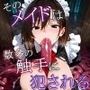 そのメイドは数多の触手に犯●れる