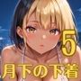 ビッチギャルは月下を下着で誘う5・260枚